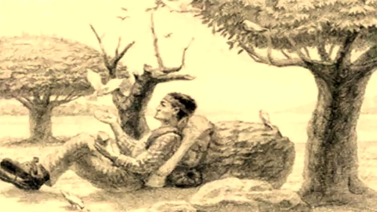 Iluzie optică virală | Ești un geniu dacă poți găsi calul ascuns în această fotografie