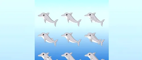 ILUZIE OPTICĂ | Câți delfini sunt în imagine?