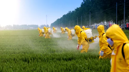 S-a aflat care produse din magazine sunt cele mai contaminate de PESTICIDE