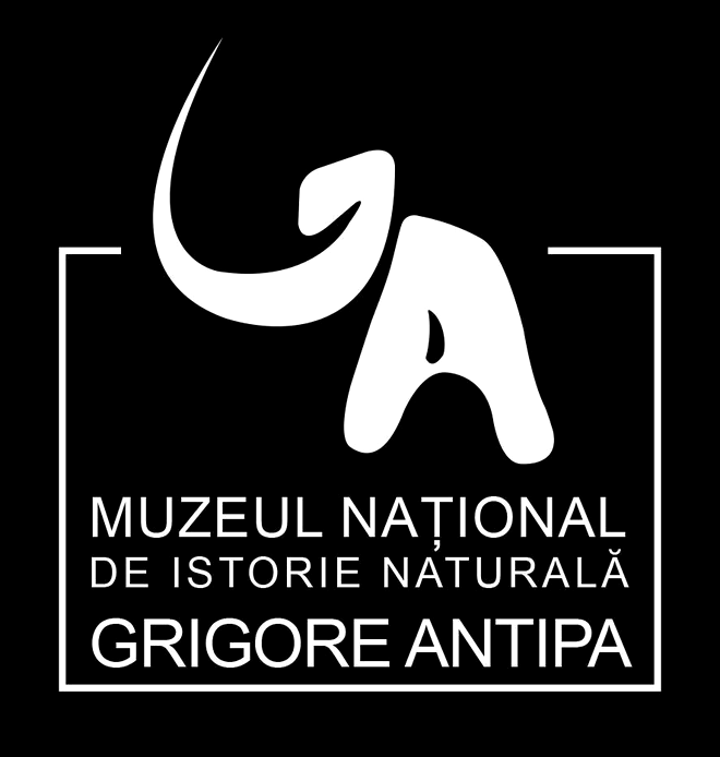 Muzeul Antipa are o nouă identitate vizuală și va căuta un nou slogan cu ajutorul publicului