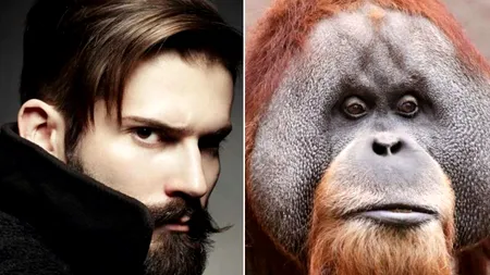 De ce preferă bărbații să aibă barbă? Există o explicație