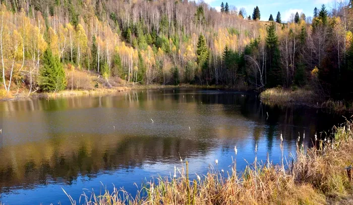 Lacul Foroja / Sursa foto: Facebook (Gheorghe Istrate)