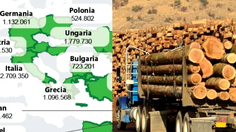 DRUMUL LEMNULUI ROMÂNESC ÎN LUME. Topul statelor în care România a exportat cea mai mare cantitate de lemn în ultimii 11 ani