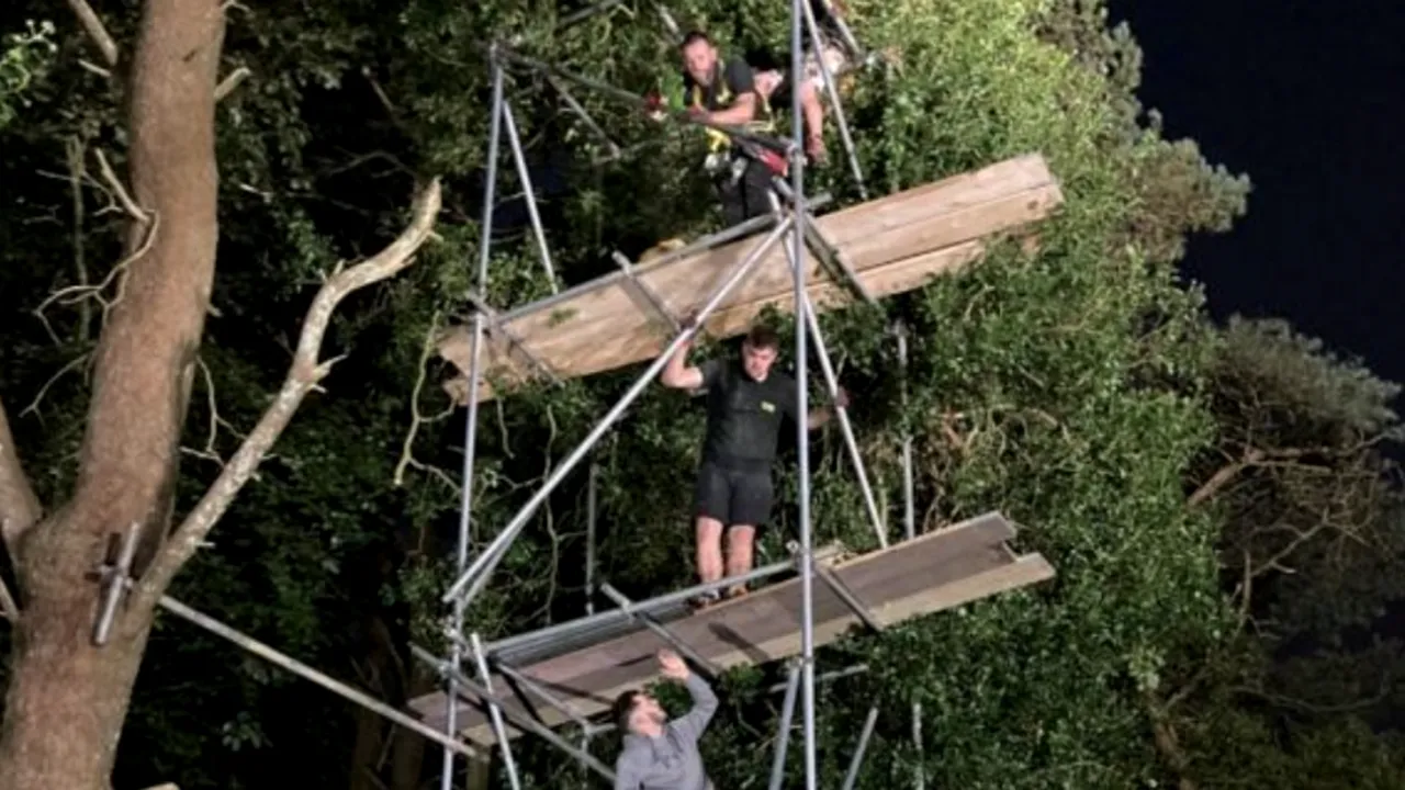 Un întreg oraș s-a implicat în operațiunea de salvare a unei pisici care stătuse câteva zile într-un copac de 10 metri înălțime