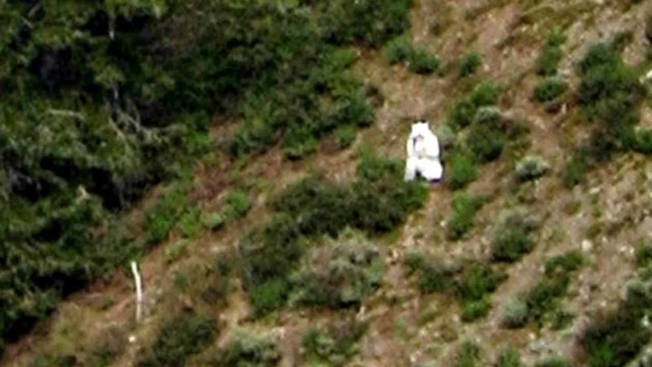 GALERIE FOTO. Imaginea care i-a bulversat pe americani