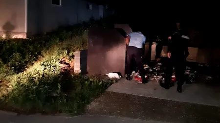 O ursoaică venită în oraș să caute mâncare pentru trei pui, blocată într-un container de gunoi din Băile Tușnad. Ce s-a întâmplat după intervenția jandarmilor. VIDEO