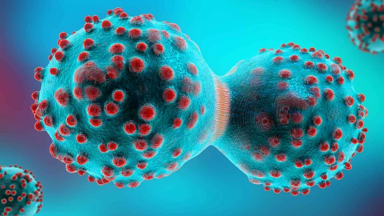 Alimentul la care trebuie sa renunti urgent. Te îmbătrânește înainte de vreme