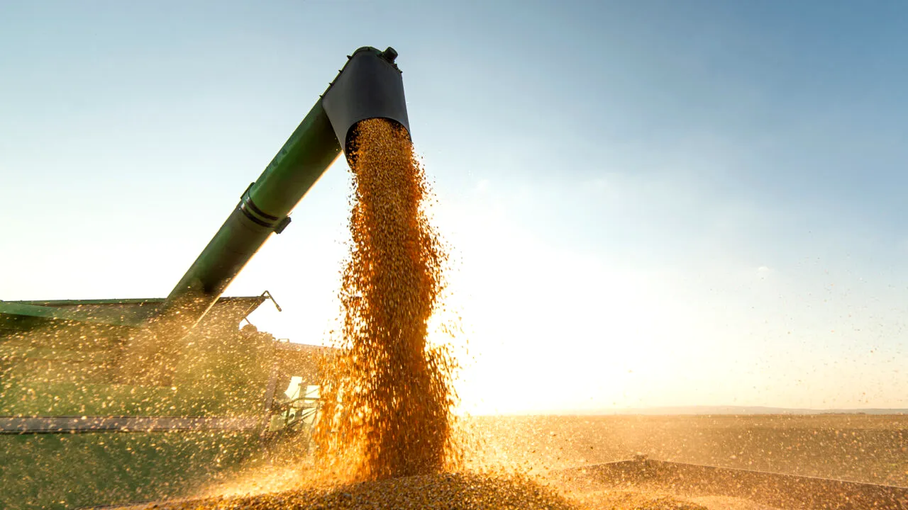 UE va reduce sancțiunile impuse asupra băncilor rusești, pentru a atenua criza alimentară mondială