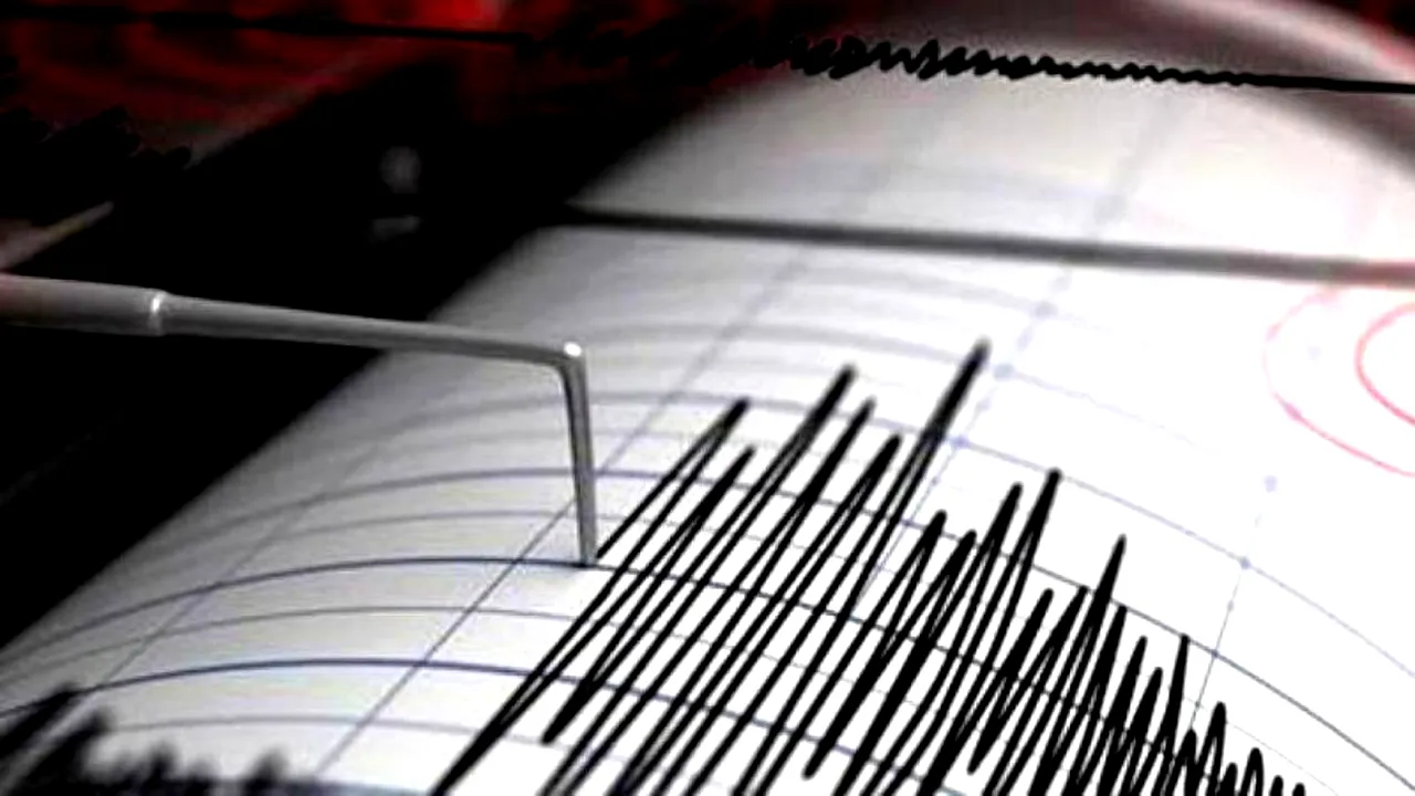 Cutremur cu magnitudinea 4,1 în Buzău