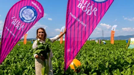 APEL CĂTRE FERMIERI | Mihaela Neagu, acționarul fabricilor de zahăr Bod și Luduș: „În Ardeal, încă se muncește!”