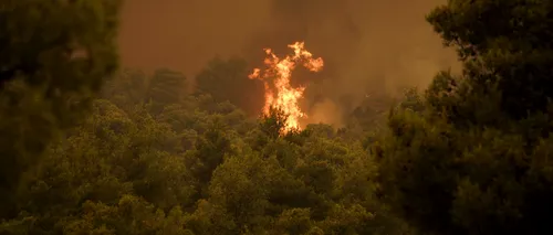 MAE: Încă nu au fost înregistrați români printre turiștii evacuați din insula Samos, Grecia / Riscul de incendii de vegetație există și se menține și luni