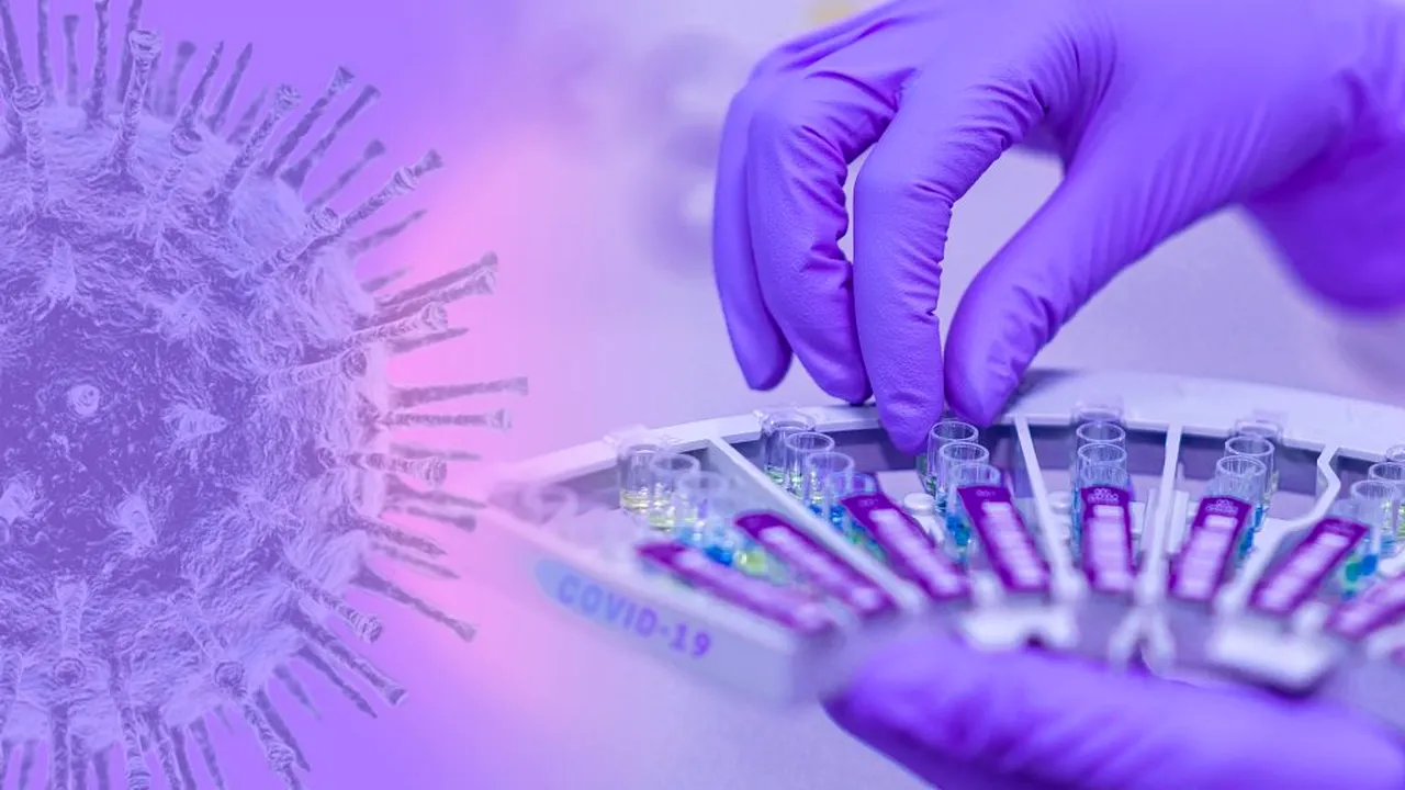 STUDIU. Nivelurile de anticorpi se prăbușesc la 2-3 luni după infectarea cu noul coronavirus