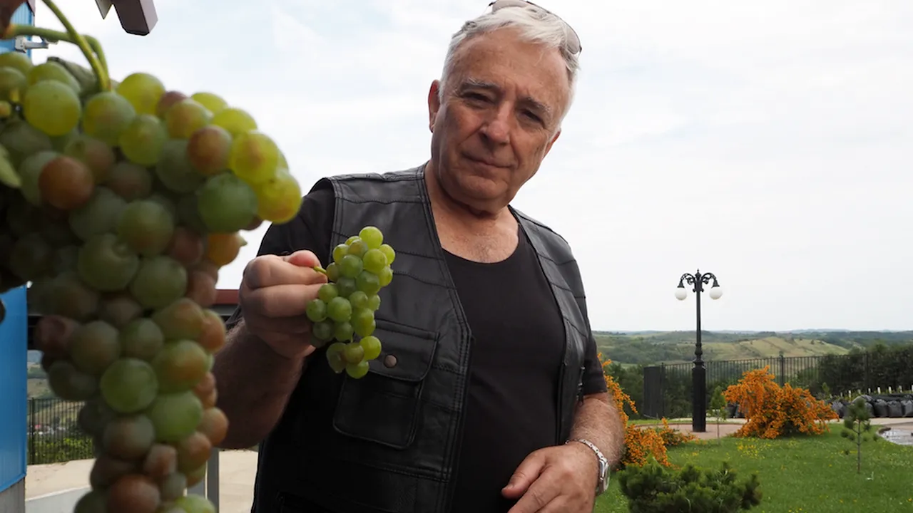 Mugur Isărescu jubilează: CEL MAI BUN AN pentru struguri. Imagini inedite din podgoria de la Drăgășani a guvernatorului BNR