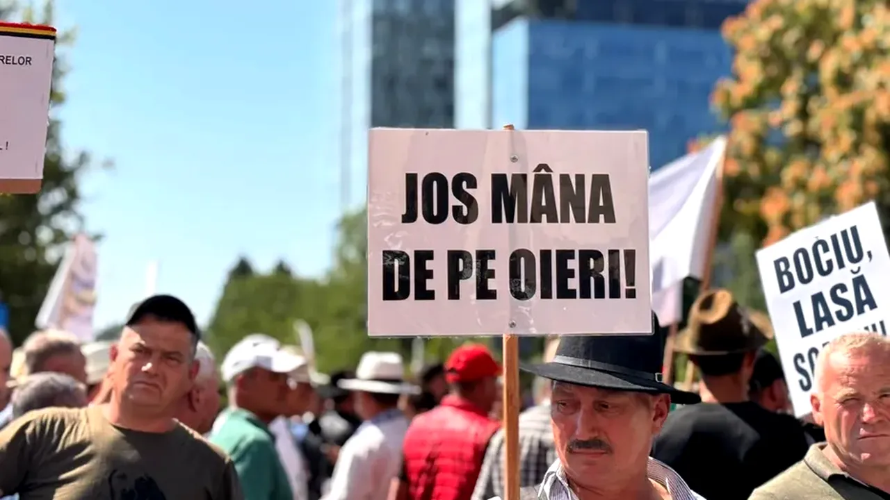 „Venim la Guvern cu bălegar și cisterne cu lapte!” Crescătorii de oi amenință că revin la București pentru a protesta împotriva lui Bolojan