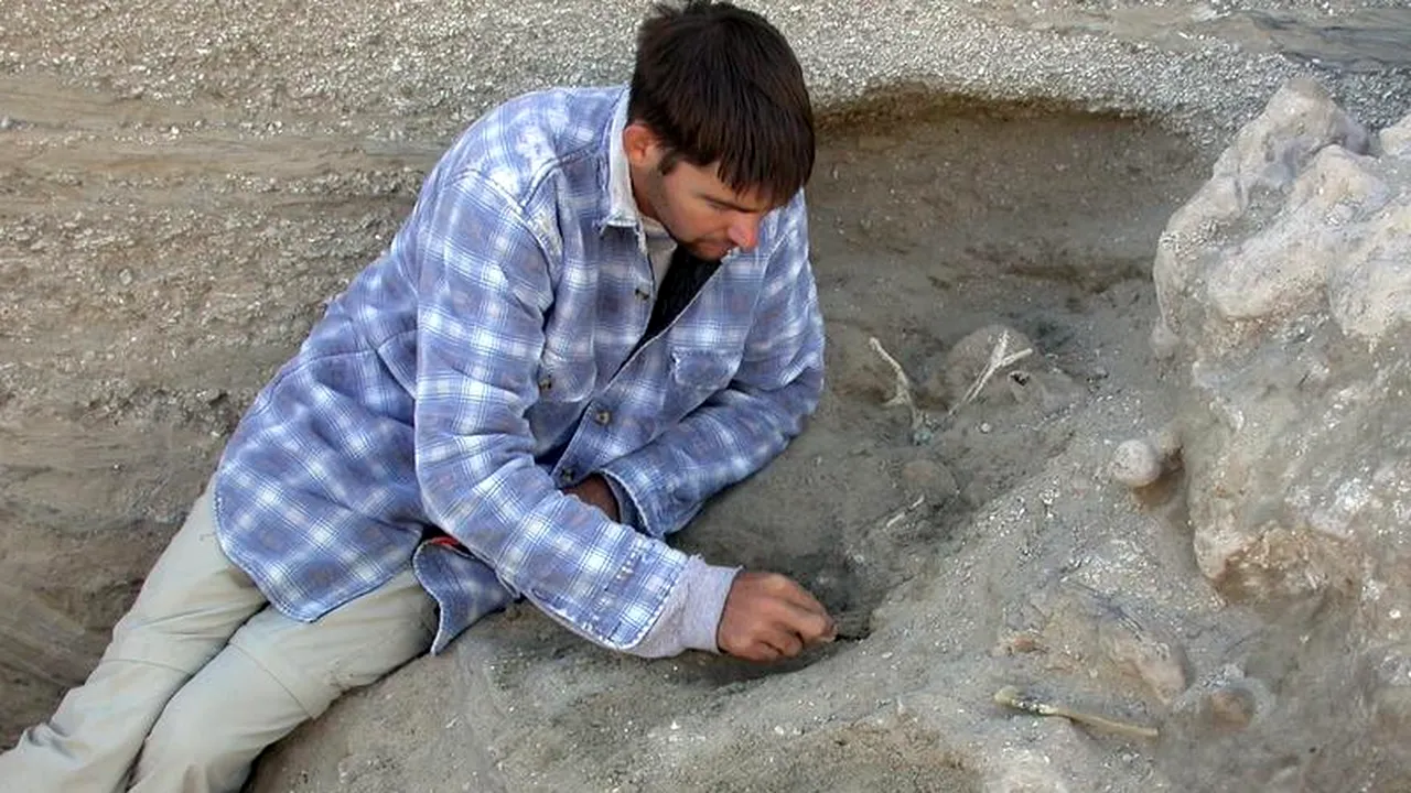 O unealtă din silex, șlefuită în urmă cu 1,4 milioane de ani, descoperită în Spania
