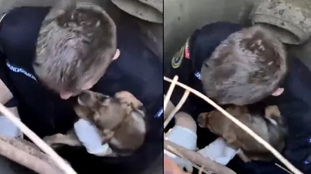 VIDEO | Momentul emoționant în care jandarmii din Argeș SALVEAZĂ un cățeluș blocat într-un canal