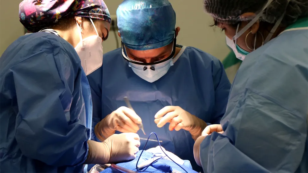 Ce au găsit medicii chirurgi în stomacul unui bărbat, care se văita de 3 zile că îl doare burta