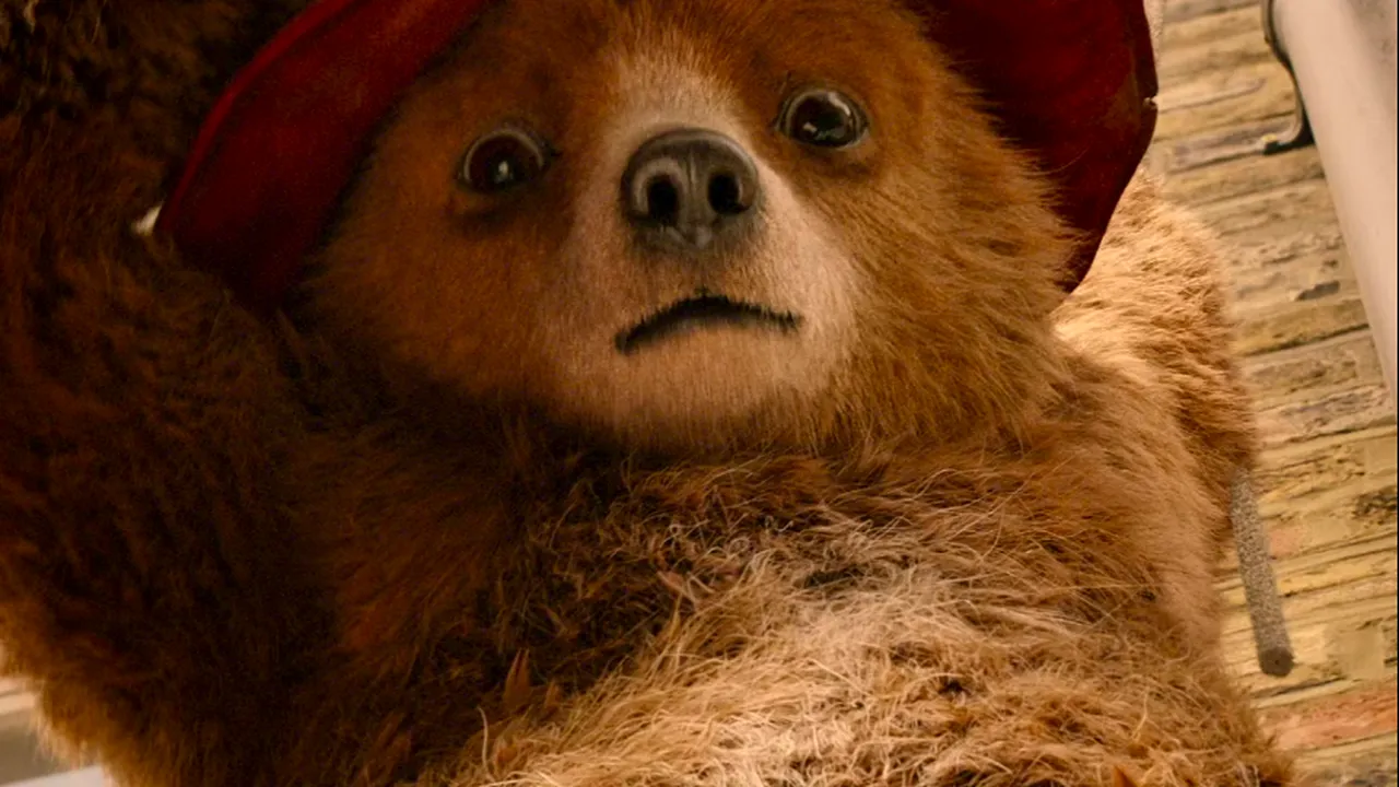 Producția pentru „Paddington in Peru” va începe în iulie