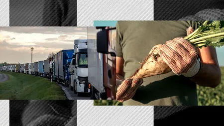 Cultivatorii de sfeclă cer ajutorul Guvernului în cazul importurilor MASCATE de zahăr din Ucraina, prin Ungaria și Bulgaria. „Dorim să oprim asta”