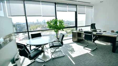 Beneficiile aduse de plante în spațiul de lucru (P)