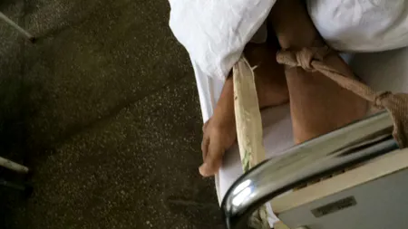 Sorina Pintea anunță control la Spitalul din Sighetu Marmației care ține pacienți legați sau în cuști: Aveam programată vizita luni