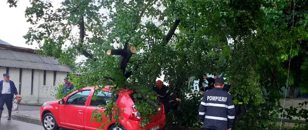 Urmările furtunii în Botoșani: Acoperișuri luate de vânt și copaci doborâți pe mașini - VIDEO / GALERIE FOTO
