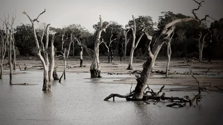 Global Trends 2040, o fereastră în viitor și scenariile pentru următorii 20 de ani