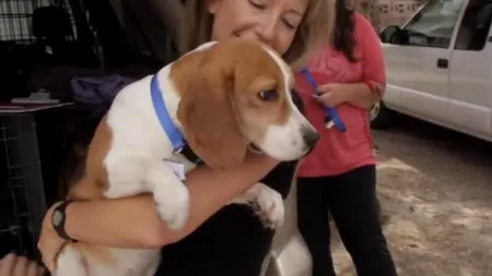 Un câine a stat toată viața într-un laborator. Reacția lui când a văzut pentru prima dată soarele și iarba