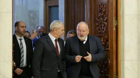 După pui de moroșan/ Să nu dai cu Timmerman''!