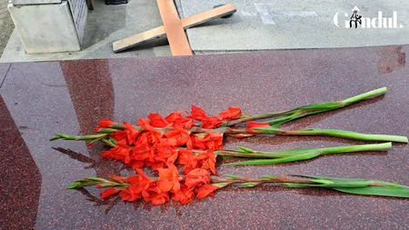 Doi români au vandalizat și apoi au URINAT pe mormântul unui copil de 4 ani, în Italia. Au transmis totul pe Facebook / Motivul gestului atroce