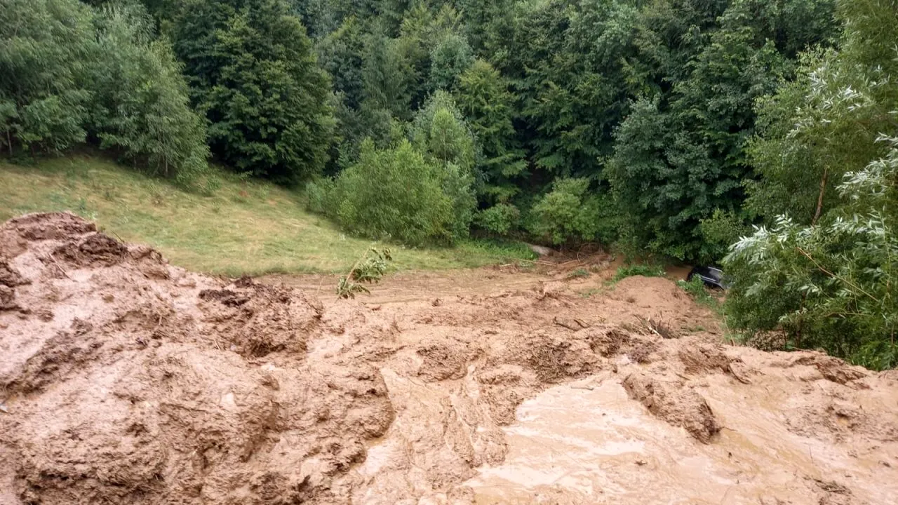 Alunecare de teren în Braşov. Zeci de animale au murit