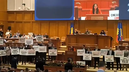 Scandal cu pancarte în plenul de miercuri, între userista Diana Stoica şi vicepreşedintele Camerei Deputaţilor, Natalia Intotero. De la ce a pornit disputa