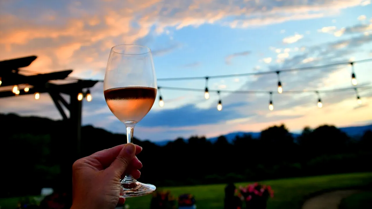 De ce sunt vinurile portugheze atât de populare. Recoltarea pe timp de noapte - ingredientul secret. Cum modifică asta gustul și calitatea vinului