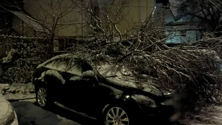 Zăpada a făcut ravagii şi în Argeş. Pe lângă drumurile cu circulaţie îngreunată, a doborât mai mulţi copaci peste maşini şi stâlpii de electricitate