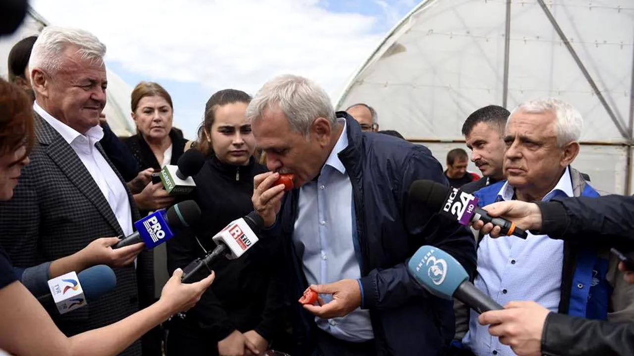 „Rețelele mafiote