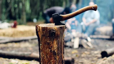 Un bărbat și-a ucis sora invalidă, de care trebuia să aibă grijă: „Mă enerva pentru că mă cicălea”