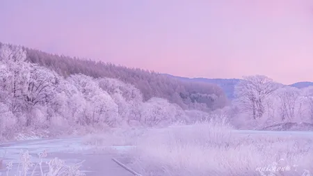 Furtună de zăpadă în Japonia! Insula Hokkaido, sub nămeți! (Galerie FOTO&VIDEO)