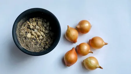 Cât costă un kilogram de arpagic în primăvara anului 2024