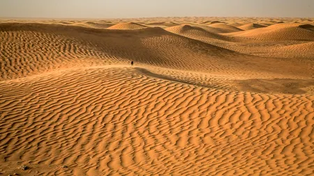 E incredibil ce s-ar întâmpla dacă Deșertul Sahara ar fi acoperit cu panouri solare