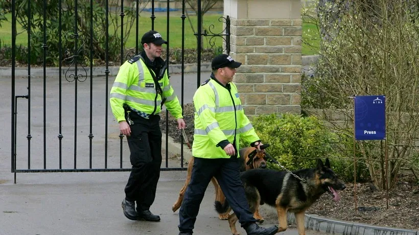 Cel puțin 84 de câini polițiști au fost eutanasiați de Poliția britanică în ultimii trei ani