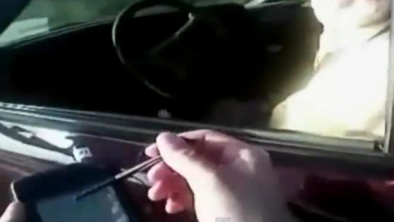 Polițist agresat de o maimuță în timp ce dădea o amendă. VIDEO