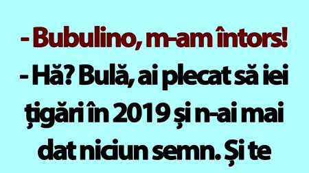 BANC | Bulă se întoarce acasă după 5 ani