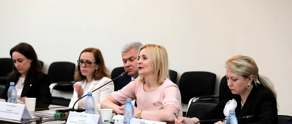 Ministrul Adrian Câciu, întâlnire cu Ina Coşeru. Sprijinul pentru Republica Moldova și reconstrucția Ucrainei, două subiecte majore de discuție
