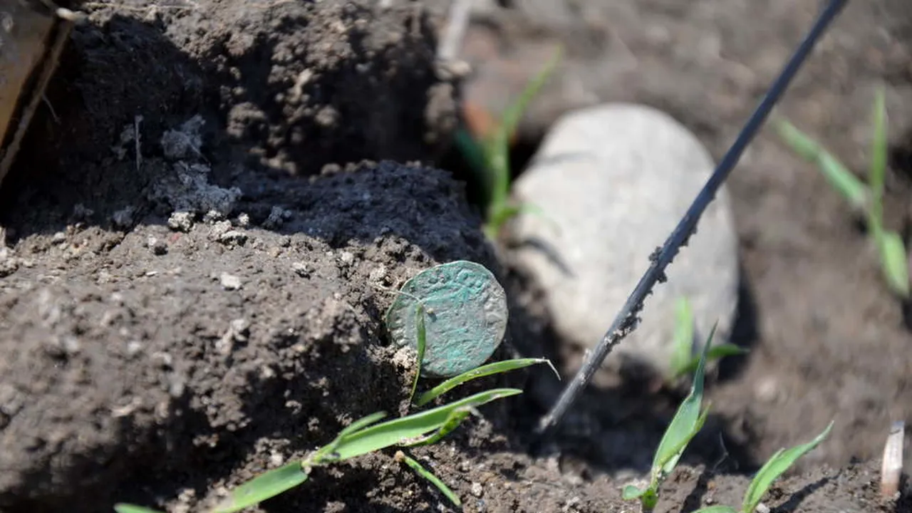 FOTO | Tezaur de 400 de monede de argint din secolul al XVI-lea, descoperit pe un câmp din Timiș