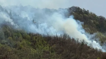 INCENDIU de vegetație într-o zonă greu accesibilă din Argeș. Intervenția în desfășurare / A fost solicitat sprijinul unui elicopter Black Hawk