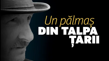 Moromeții 3, campanie de promovare cu „SĂGEȚI” către cartea lui Ciucă. „Un pălmaș din talpa țării. Cartea a fost scrisă. Acum urmează și filmul”