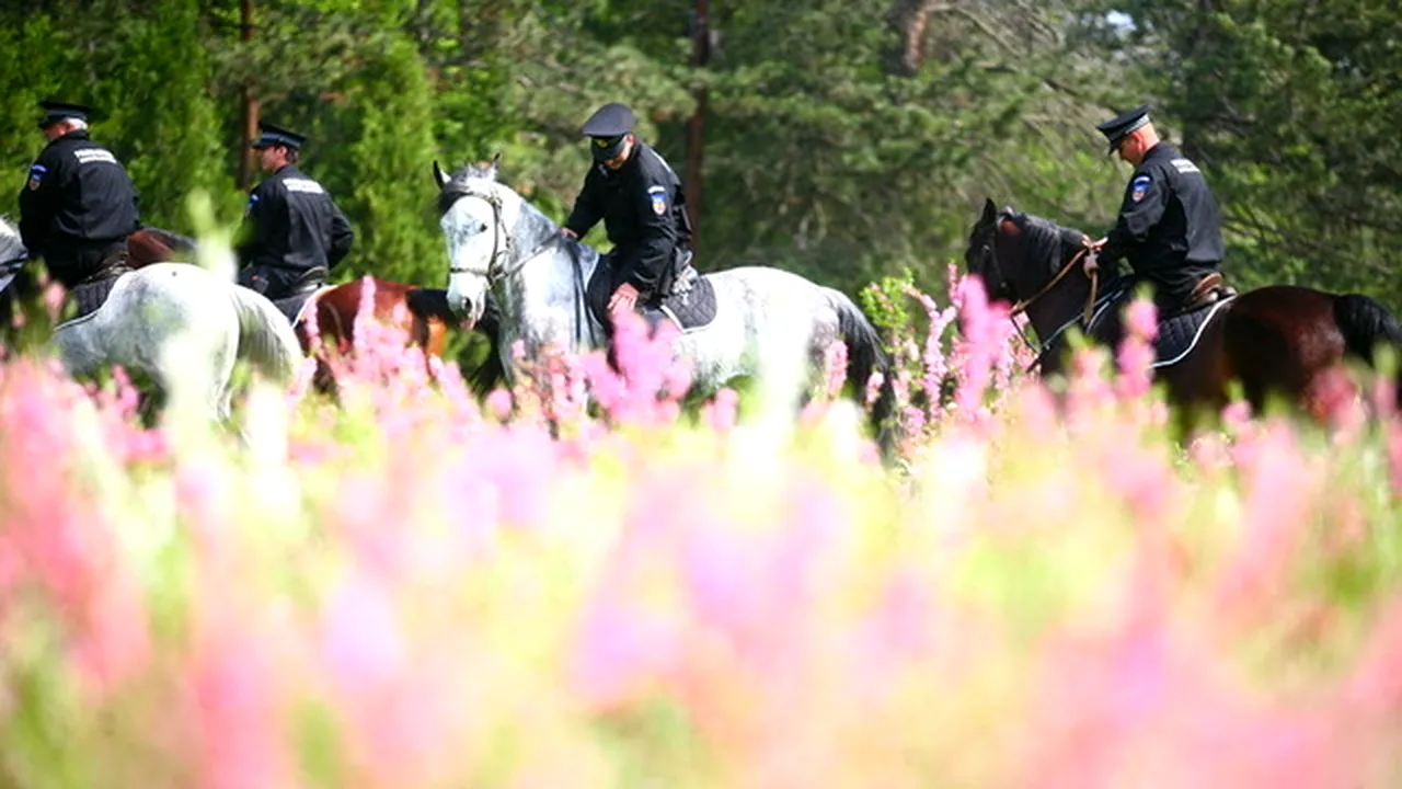 Patrula Călare a Municipiului București va fi prezentă în trei parcuri ale Capitalei