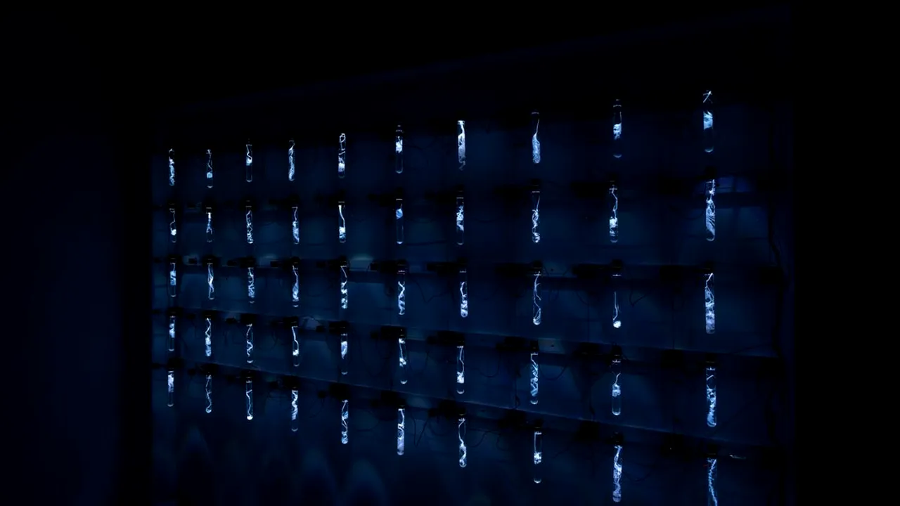 INTERVIU – Floriama Cândea, despre misterioasa „Uncanny Order” de la București și conceptele specifice științei folosite în artă