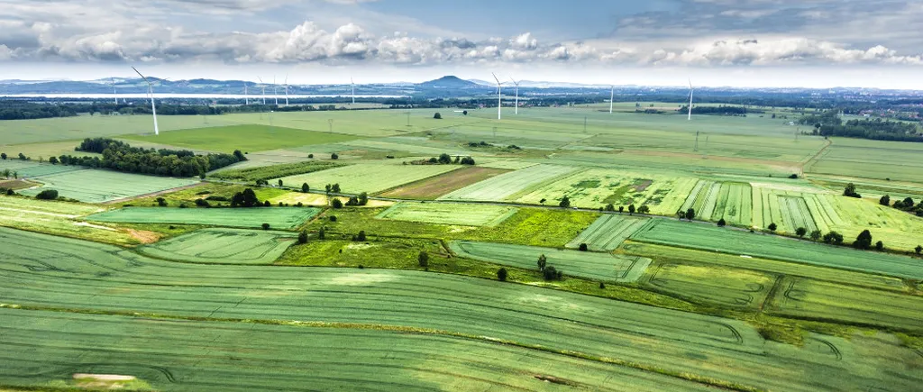 Studiu: Străinii controlează până la 40% din terenul arabil al României