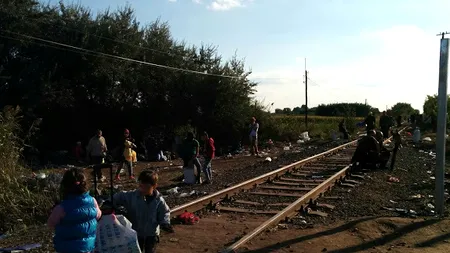 Danemarca nu vrea mulți imigranți, dar este dispusă să contribuie cu bani la fondurile UE